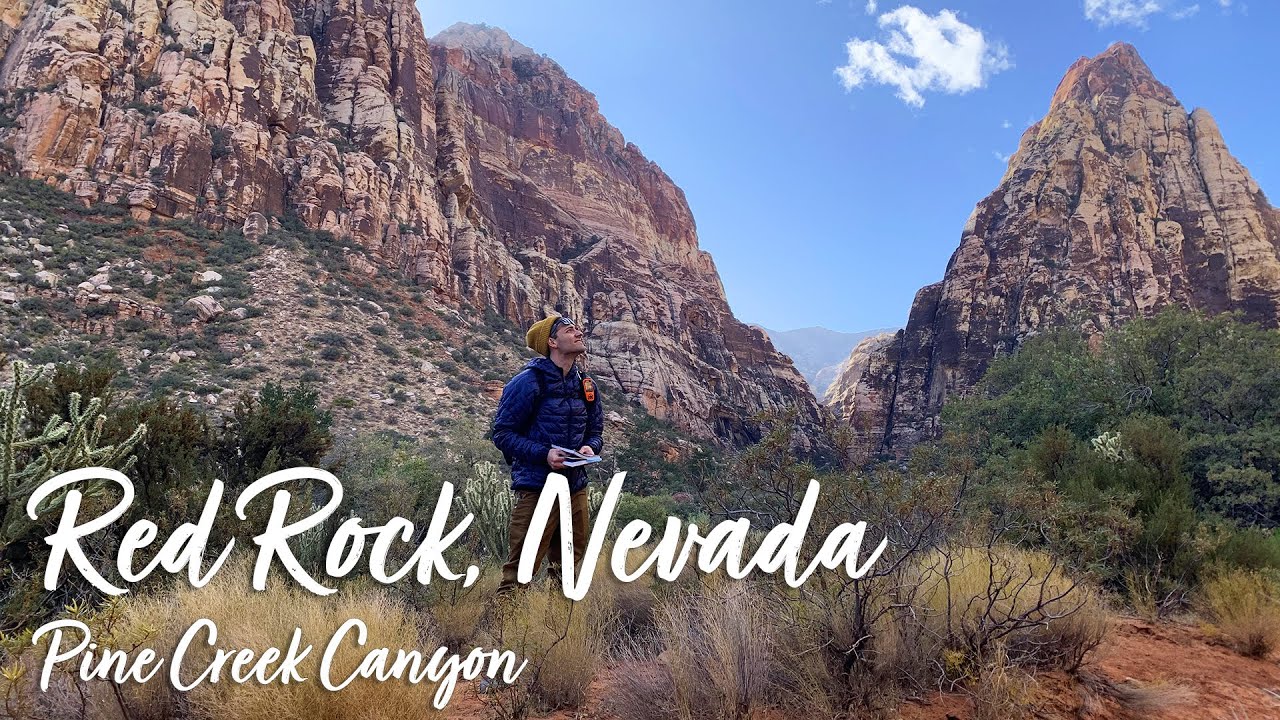 Exploring Pine Creek Canyon | Red Rock, Nevada