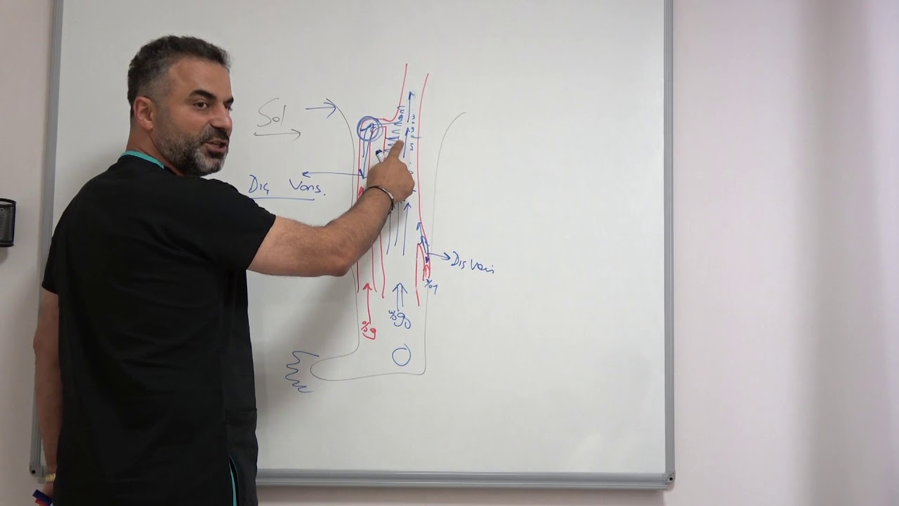 Varis çeşitleri, varis pıhtısı, derin ven trombozu - Prof. Dr. Ahmet AKGÜL