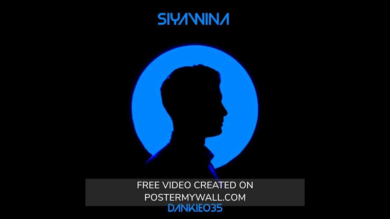 Dankie035 - Siyawina (We are winning)
