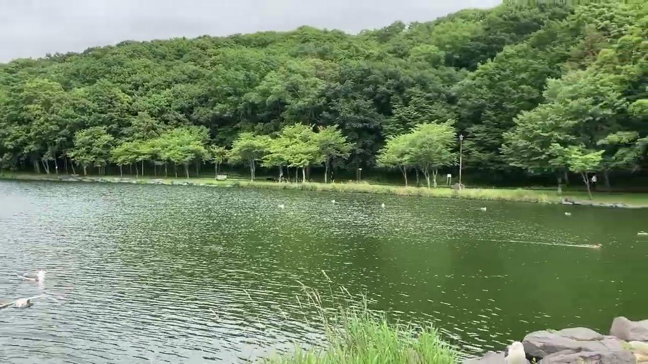 2022.08.13　お散歩風景