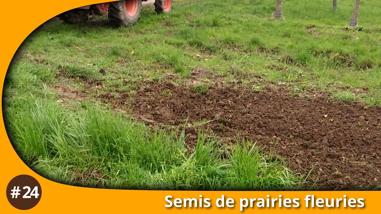 Atelier du jardin : Semis de prairies fleuries