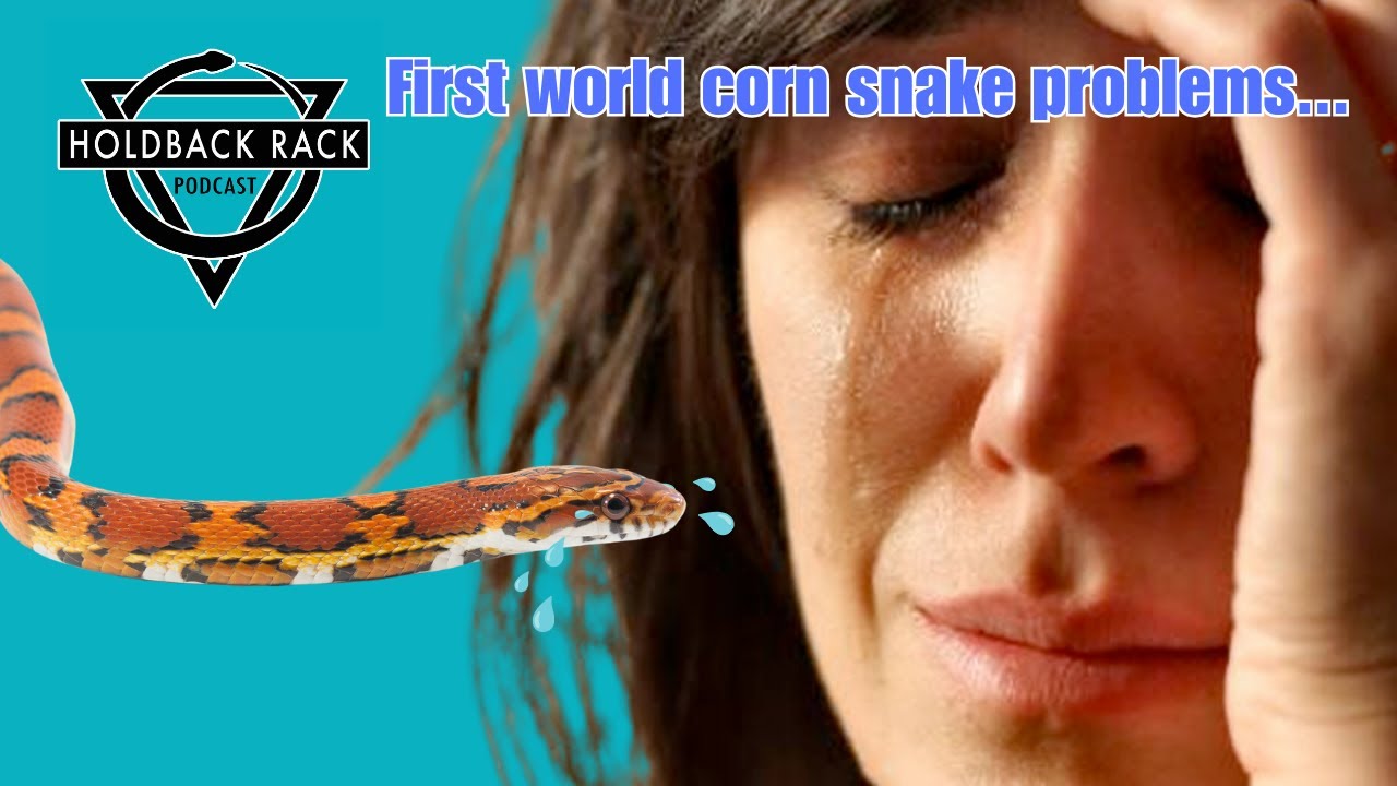 HRP 101 - I got 99 corn snake problems...