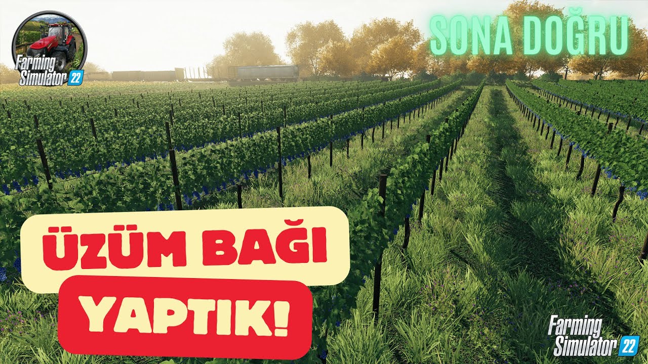 ÜZÜM BAĞI YAPTIK! |Farming Simulator 22 | Bölüm 40