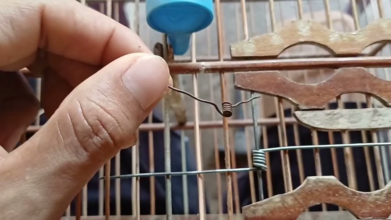 Como Fazer Uma Mola Para Porta De Gaiola😃👍#Criar e Preservar