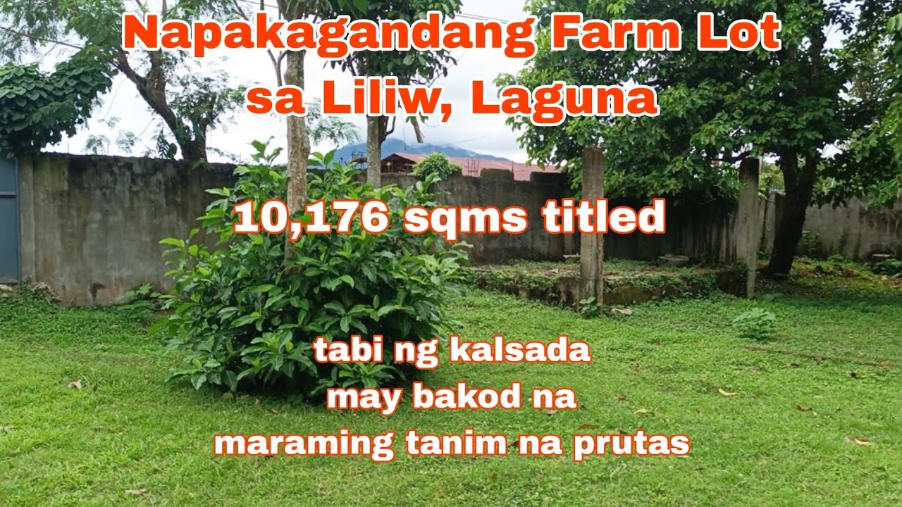 (P# 700) 10,176 sqms Beautiful Farm Lot @ 15 Million negotiable in Liliw, Laguna for sale