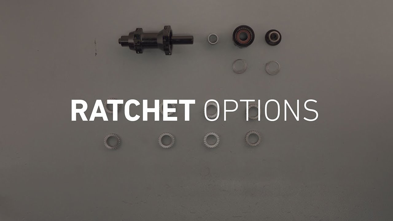 Service of DT Swiss Ratchet system.  | DT Swiss