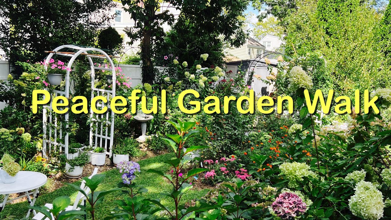 Relaxing Garden Walk/ Peaceful Backyard and Front Yard Flowers/ No Talking Just Nature 