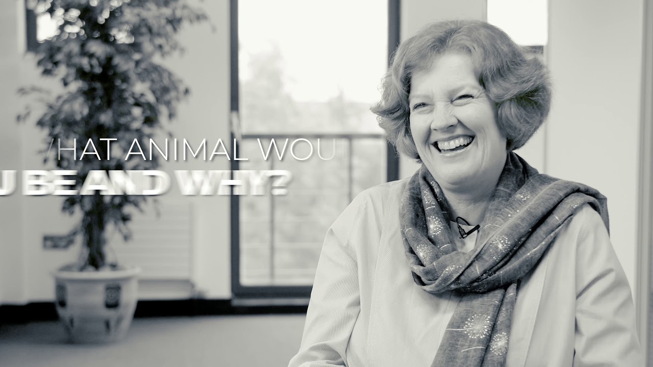 Meet Susan Floyd, Private Client Lawyer