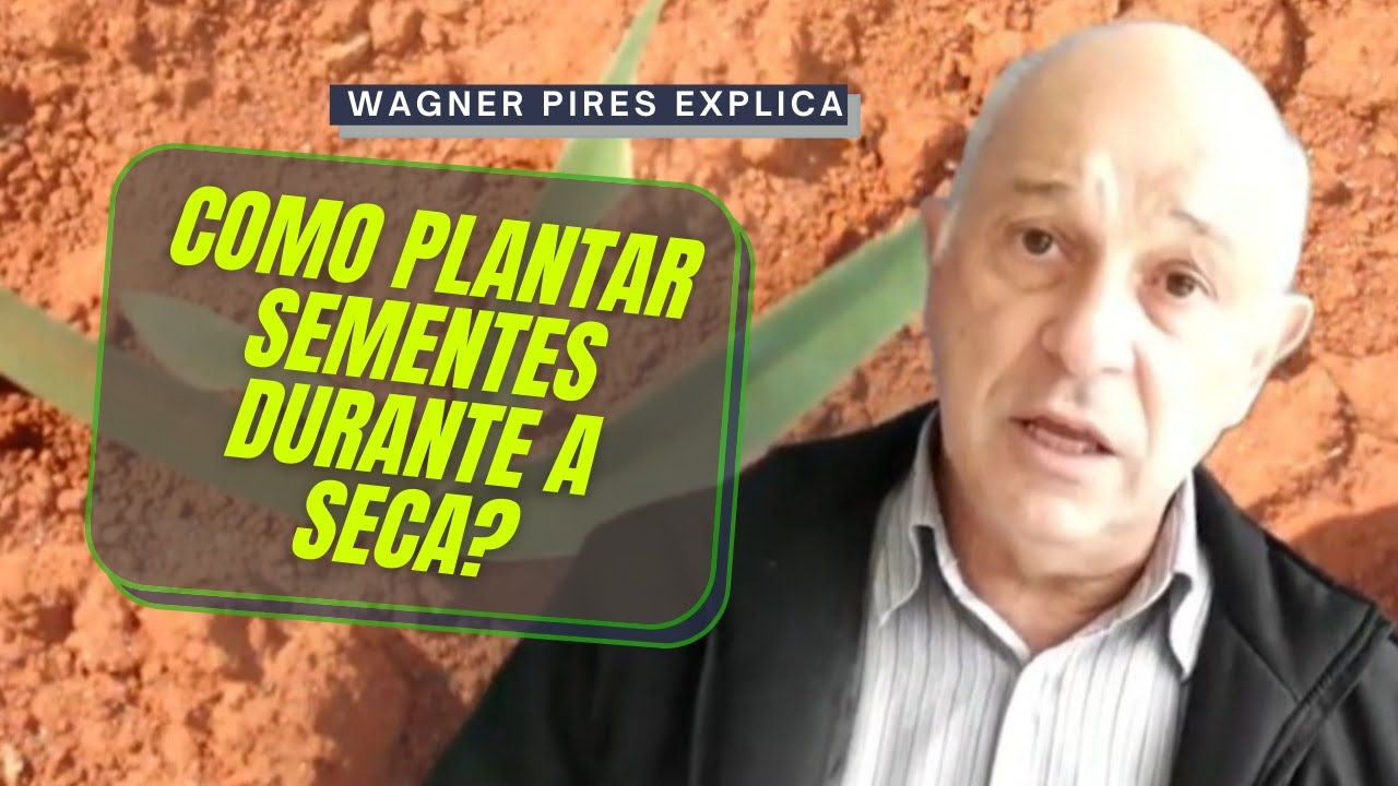 PLANTIO EM &Eacute;POCA DE SECA: COMO FAZER?