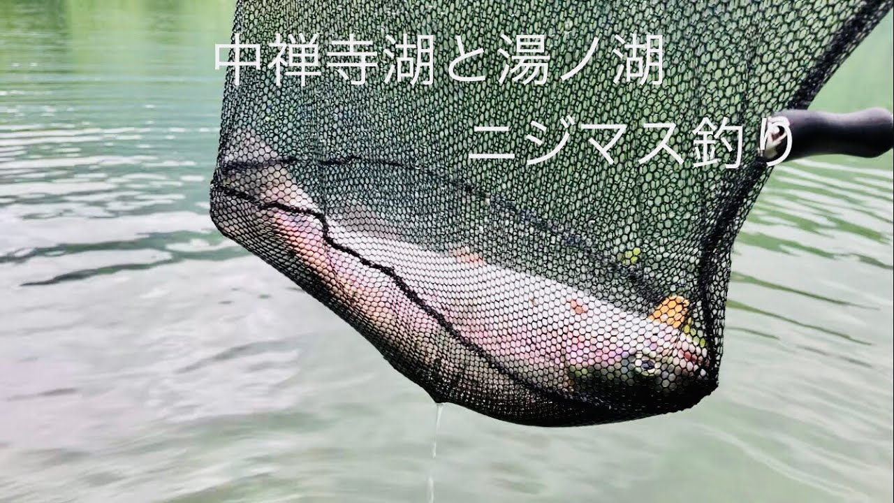 中禅寺湖と湯ノ湖で釣りをして、釣ったニジマスを料理したよ