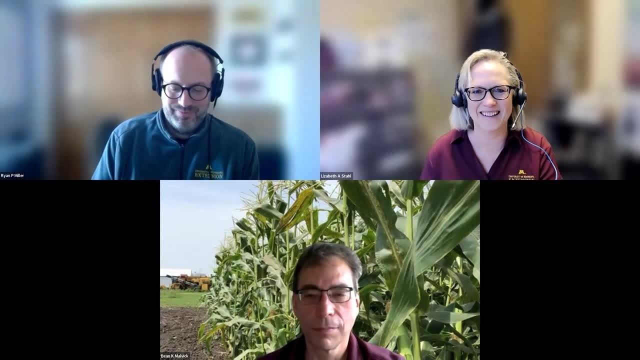 Strategic Farming 2026: Will corn leaf diseases be a continuing threat to Minnesota corn production?