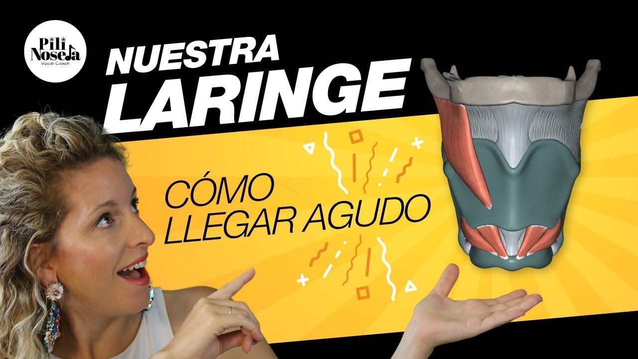 La Laringe - Técnica y anatomía vocal