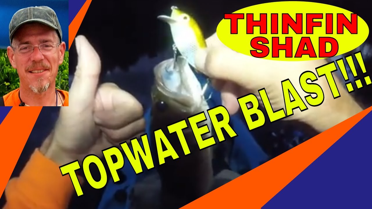 STORM THINFIN SHAD TOPWATER BLAST/JERSEY JIM FISH VLOG