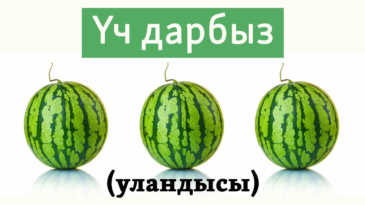 Жакшылык кылсаң кайтып келет 2-бөлүк | Орус тилин үйрөнүү