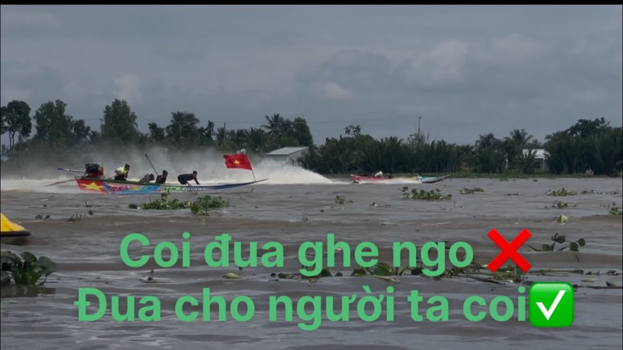 Đua vỏ tại gò quao 2025  hai thành đua với  solo v6 
