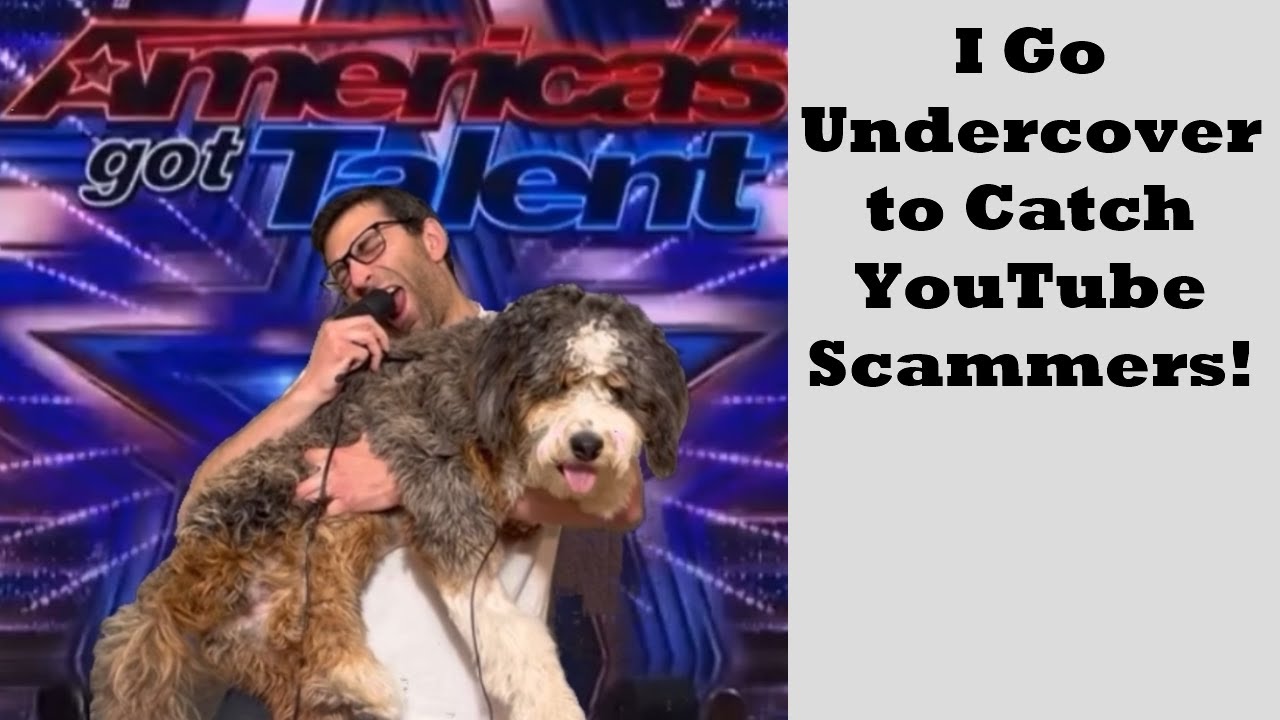 Lawyer: A Parody on Parody & Copyright Fair Use Law