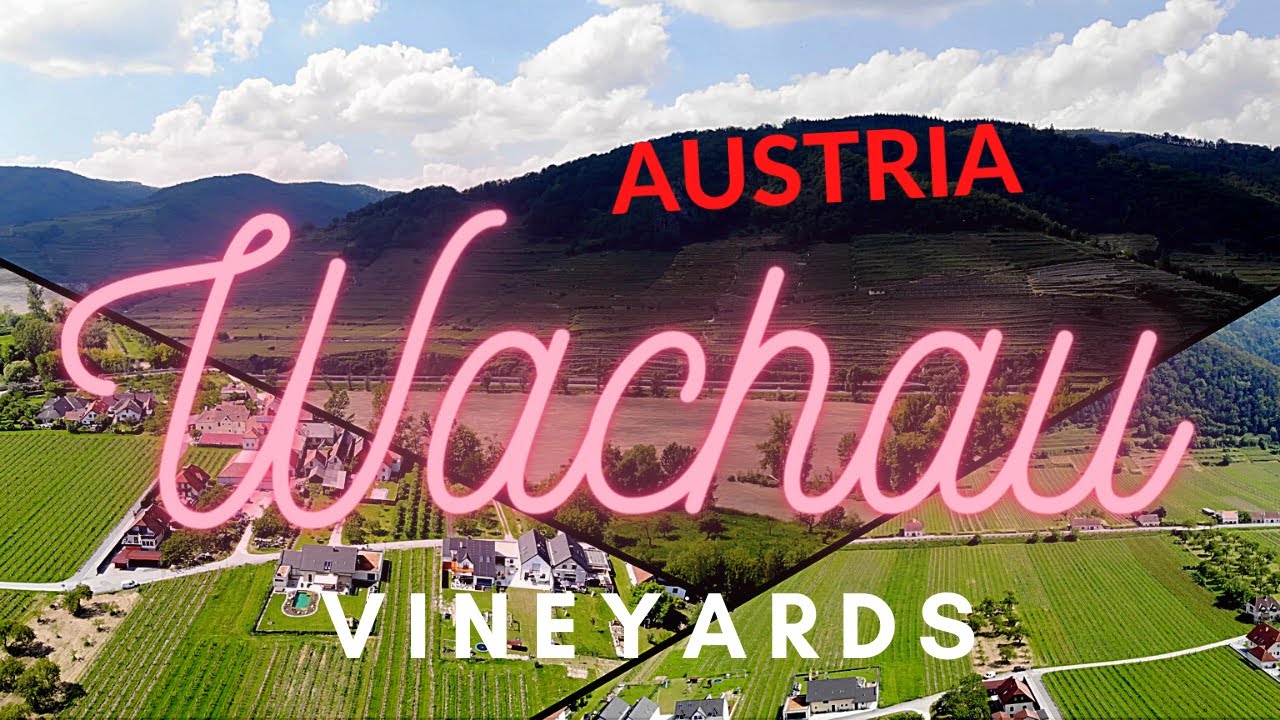 WACHAU Vineyards (Austria) in 4K. Danube Valley - wine county.