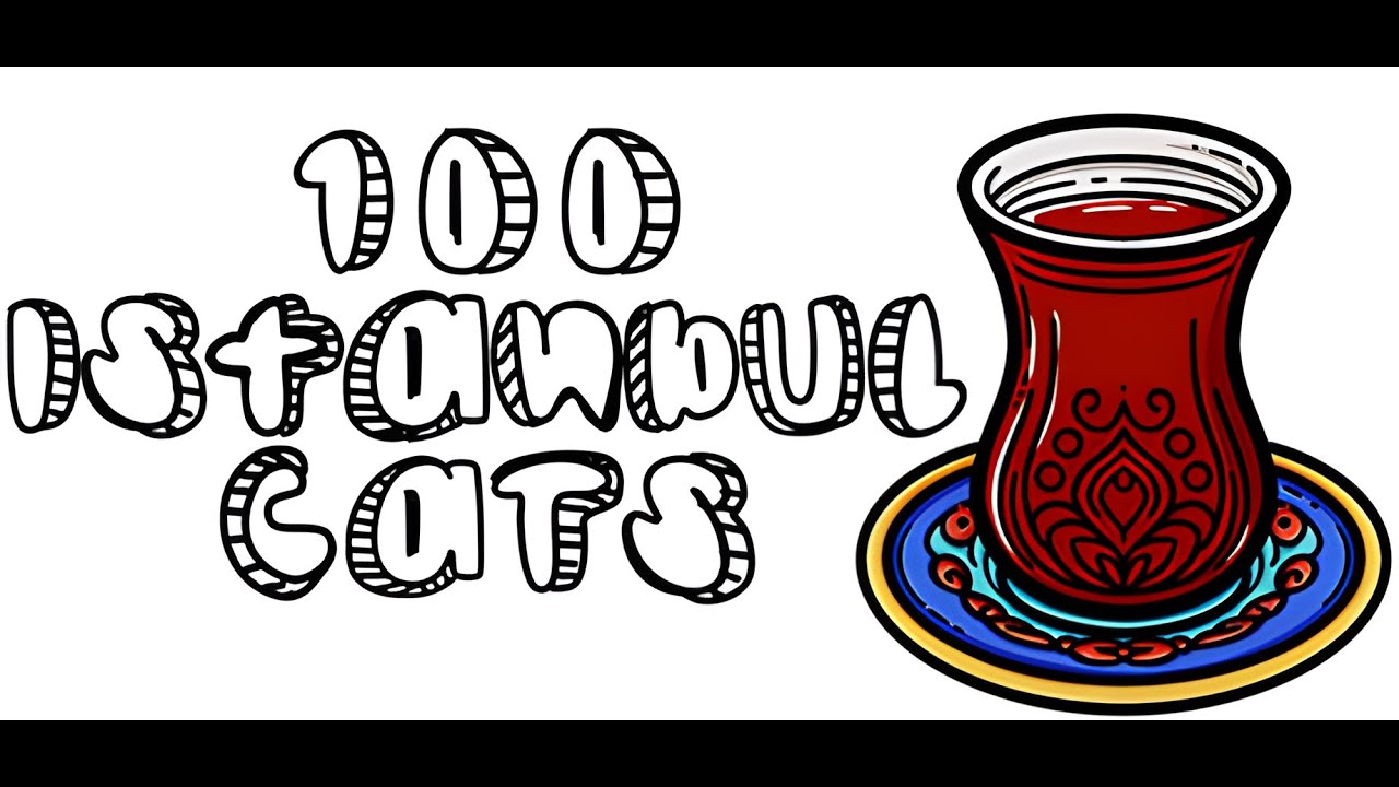 100 Istanbul Cats - Full Gameplay / Walkthrough (No Commentary)
