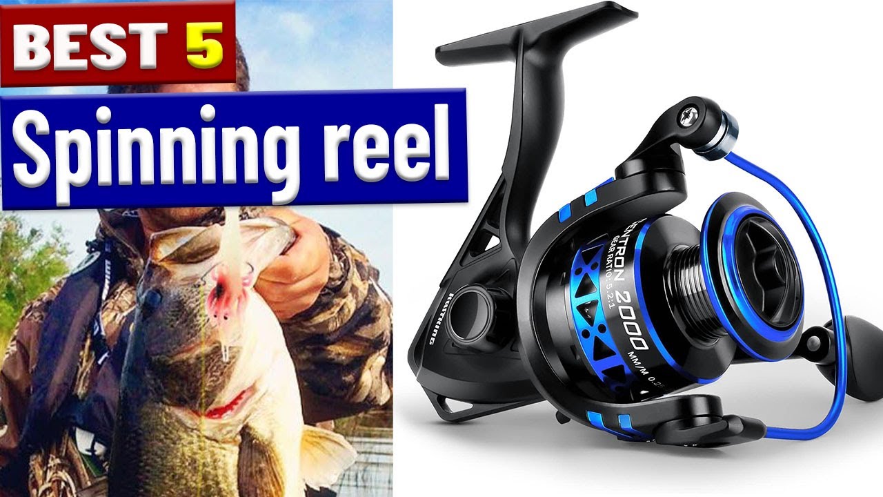 Best 5 Spinning reel 2025 | The Untold Secrets of Spinning Fishing Reels You Need to Know