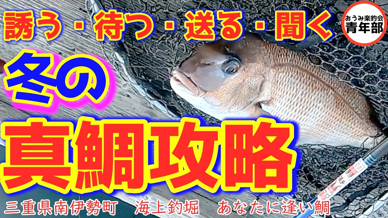 【釣り・海上釣堀】これができれば釣果爆上がり！真冬の真鯛攻略！