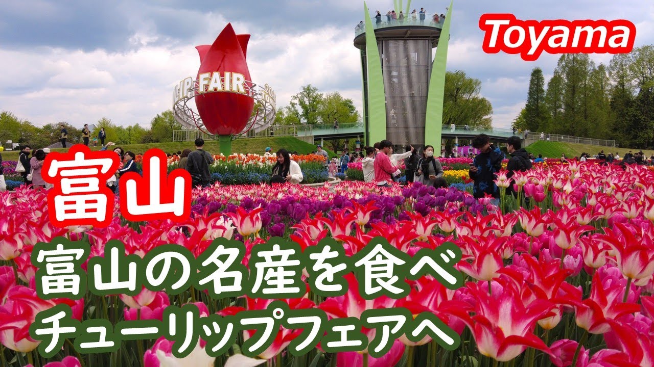 富山、富山の名産を食べ、チューリップフェアを楽しむ Toyama Japan｜シニア・長野移住ライフ｜田舎暮らし vlog 153