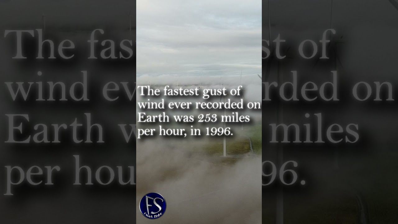 The Fastest Gust Of Wind Ever