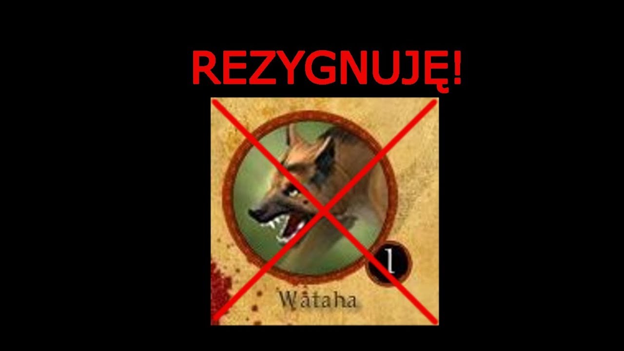 Taern - WATAHA #11 - Tymczasowy Koniec Watahy - Podsumowanie po 3 latach #Shiido