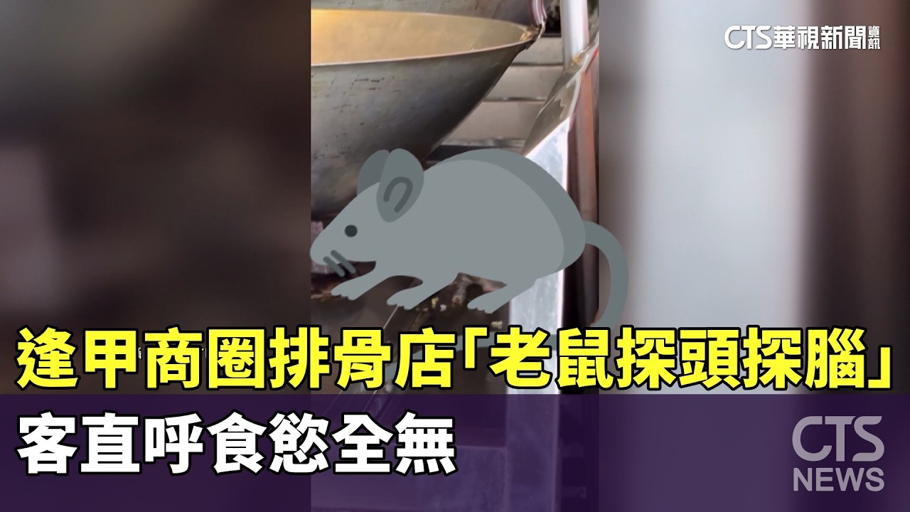 嚇！　逢甲商圈排骨店「老鼠探頭探腦」　客直呼食慾全無｜華視新聞 20260305 @CtsTw
