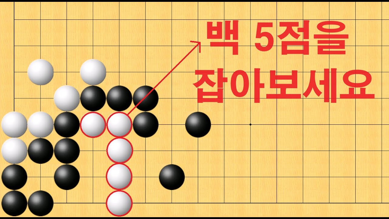 바둑 맥점 사활 - 정말 엄청 실수 많이 합니다. 백 5점을 잡아보세요