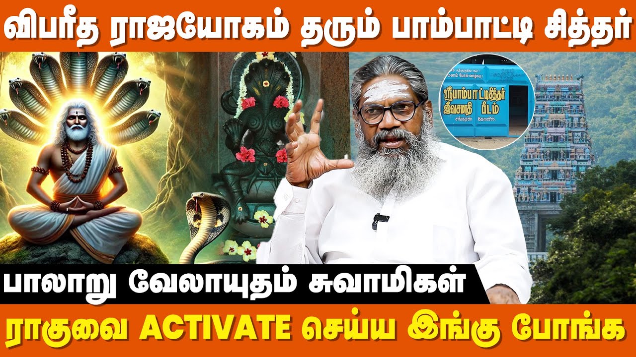 பாம்பாட்டி சித்தர் செய்த அற்புதங்கள் -  Palaru Swamigal | Pambatti Siddhar History | IBC Bakthi