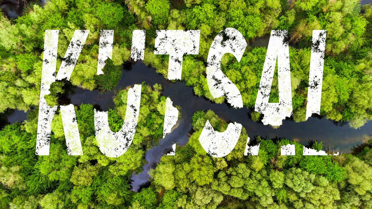Bu Orman Kaç Şirketi Doyurur? | Doğa, İnsanlığın Kutsallık Listesinin Neresinde?  save nature