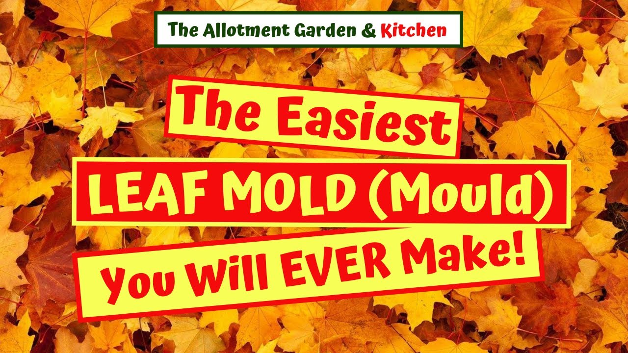 How to Make the Easiest Leaf Mold (Mould) Ever!!!! - A Completely FREE way to Enhance your SOIL #54
