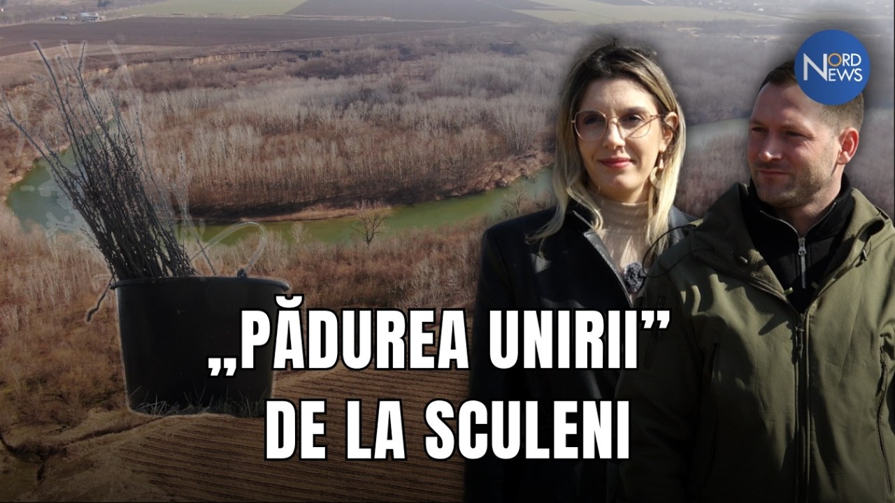 „Pădurea Unirii” de la Sculeni