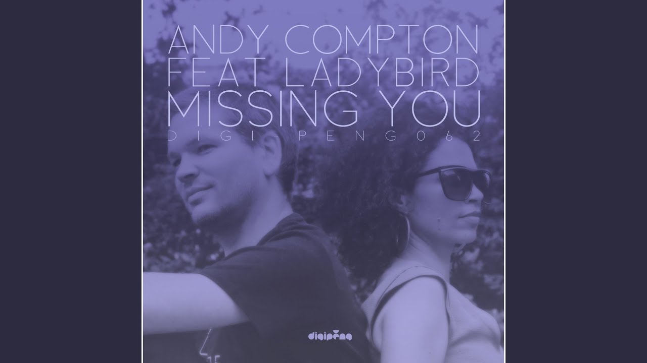 Missing You (Sir Lsg Mix)