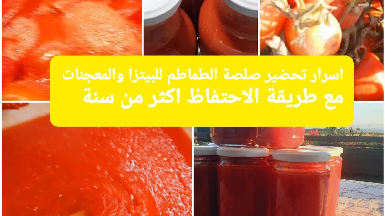 طريقة تحضير صلصة الطماطم للبيتزا والمعجنات والاحتفاظ بها أكثر من سنة
