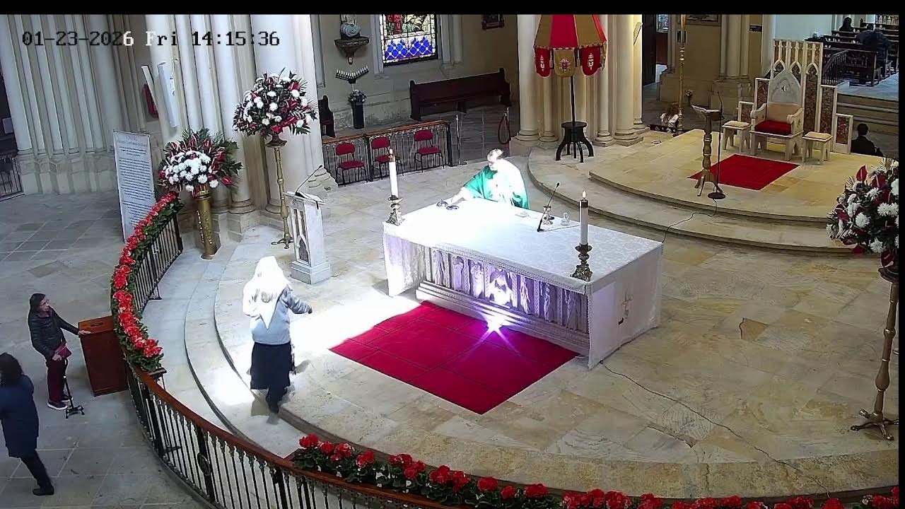Transmisión Eucaristía Basílica de Lourdes   2026