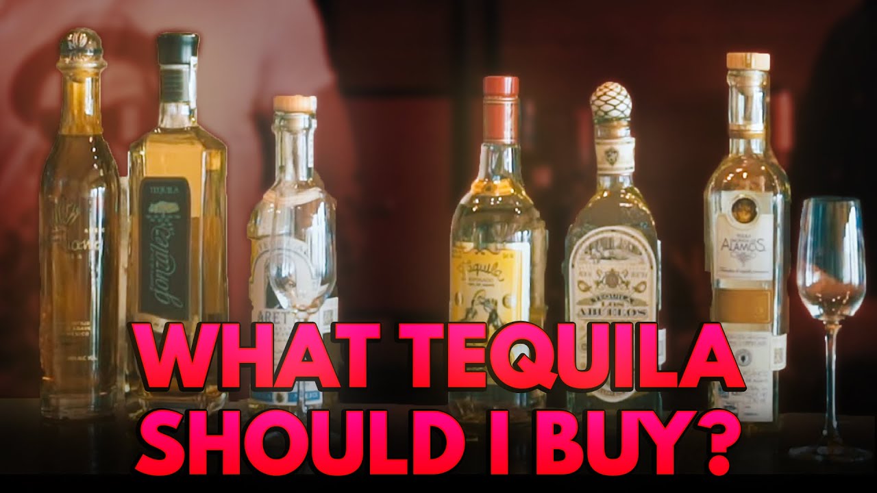 What Tequila Should You Buy💰? The Different Categories of Tequila