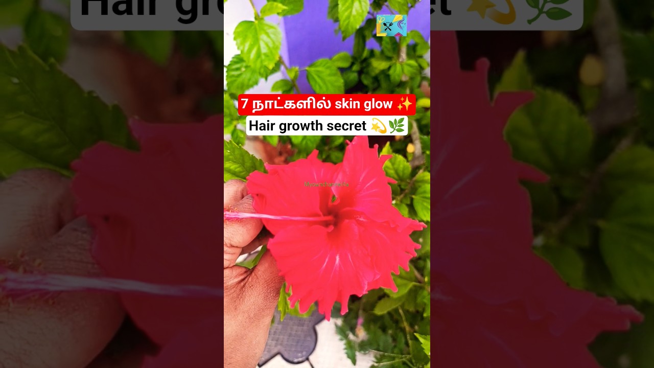 செம்பருத்தி பூ பயன்கள் 🌺 | Skin Glow, Hair Growth, Hair Fall Control | Tamil