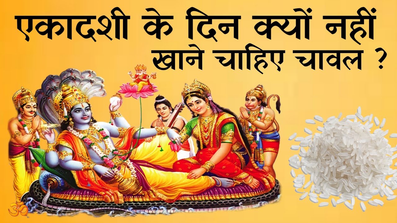 एकादशी के दिन चावल क्यों नहीं खाना चाहिए। (वैज्ञानिक कारण) # Ekadashi Vrat