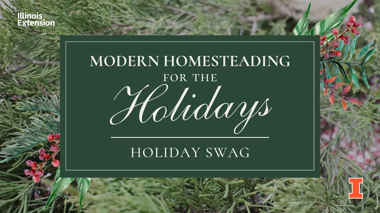 Holiday Swag