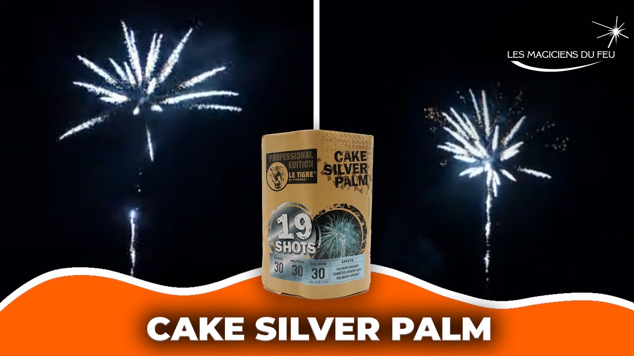 Compact d'artifice 19 coups 30mm Silver Palm comètes argent avec palmiers argent