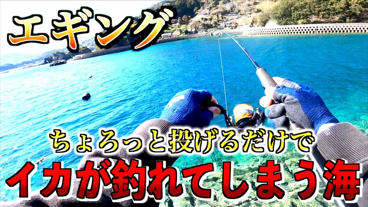 第429話【エギング】ふと立ち寄った場所でエギングしてみたらすぐ...釣れた!の巻!