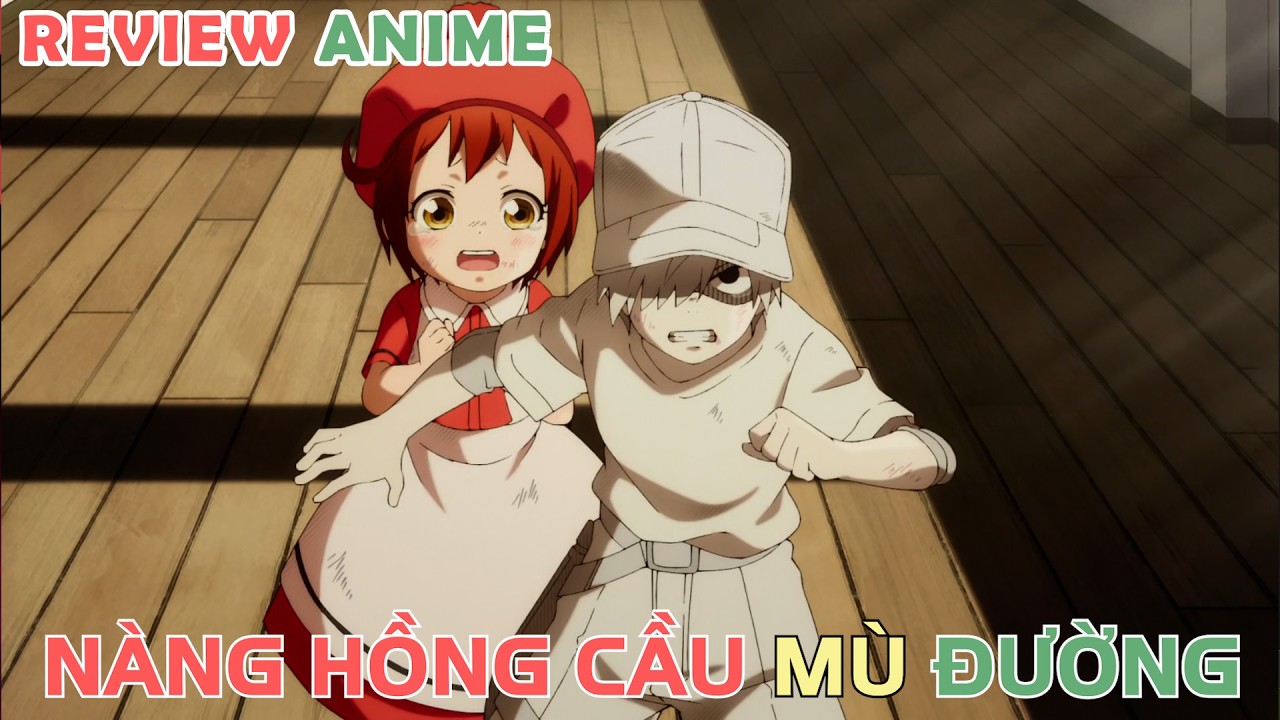 Tế Bào Máu Mù Đường | REVIEW PHIM ANIME HAY