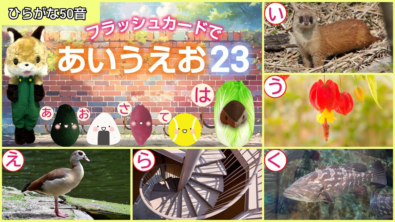 【フラッシュカード】ひらがな50音「フラッシュカードで♪あいうえお23」