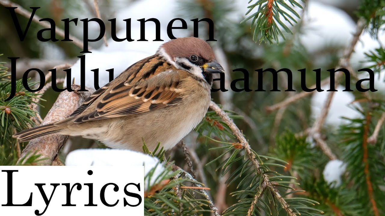 Raskasta Joulua - Varpunen Jouluaamuna Lyrics (Suomeksi & English)
