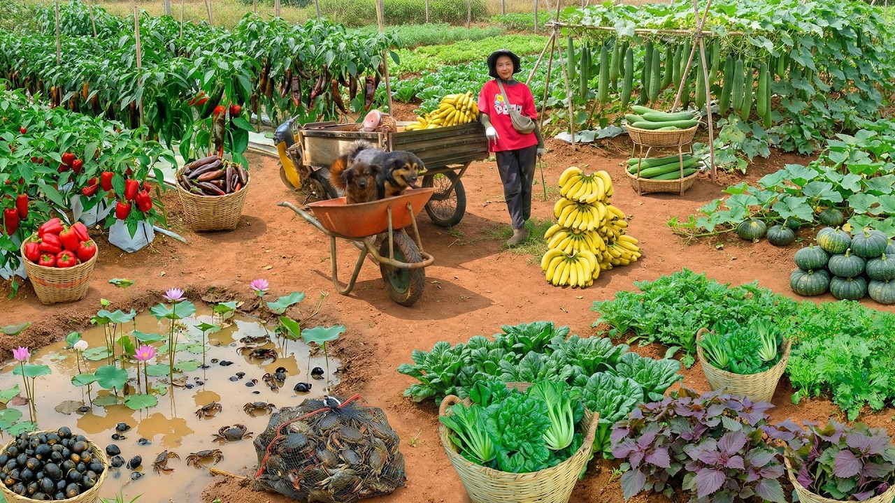 Harvest Banana, Snails, Crabs, Bell Pepper To Sell And Cook – Peaceful Farm Life: Grow Vegetables