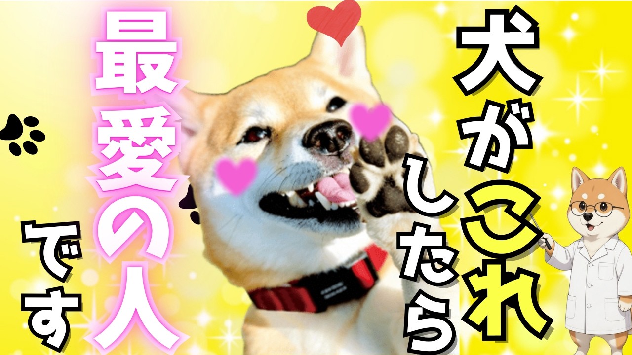 犬が家族の中で一番大好きな人だけにする行動8選！