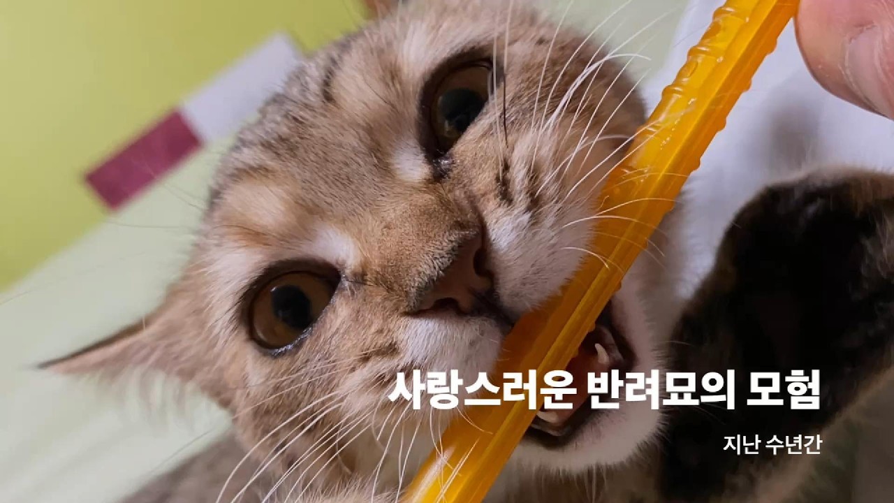 울포비 사랑해~