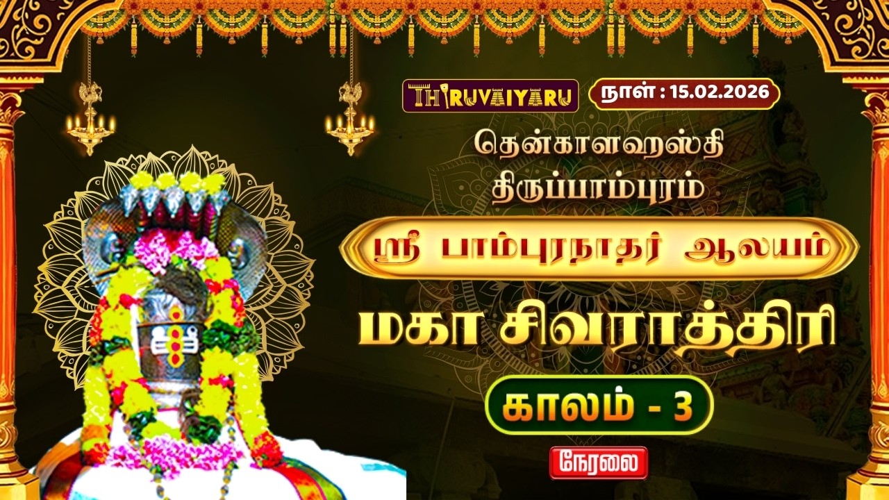 🔴Live : திருப்பாம்புரம்  ஸ்ரீ பாம்புரநாதர் ஆலய மகா சிவராத்திரி விழா காலம் - 3 | Thiruppampuram