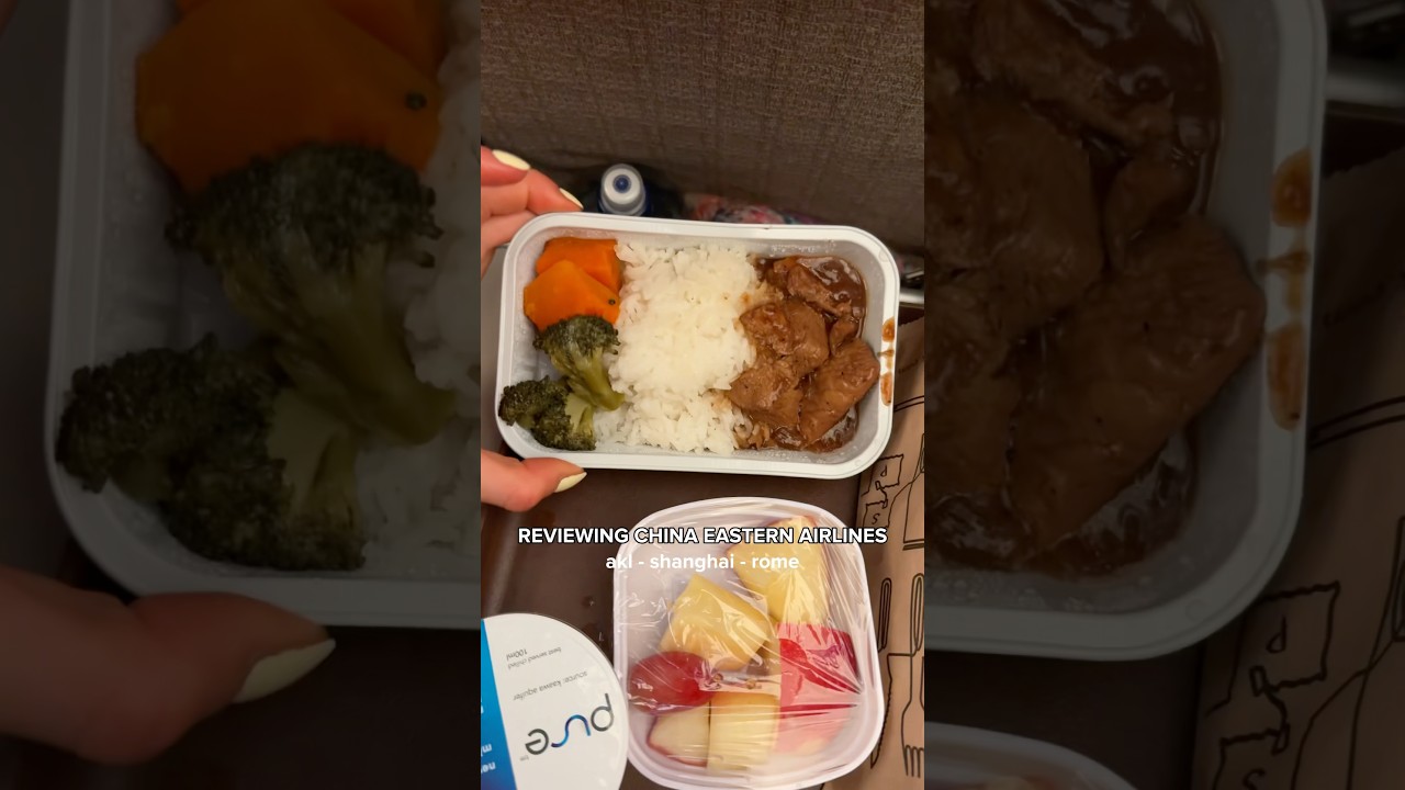 Review of China eastern airways! #nz #travel #airline #airlinereview #travelvlog #flightreview